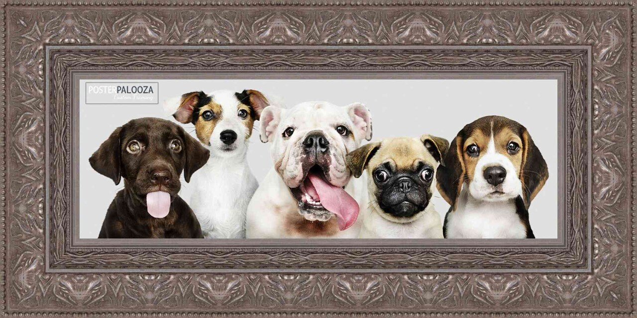 Panoramic Museum Silver Picture Frame - UV Acrylic, Foam Board Backing, Hanging Hardware